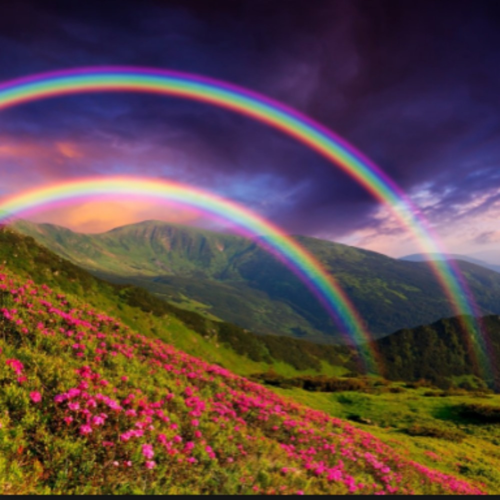 Meet your Posher, Chenille